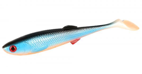 SICARIO 8.5cm/BLUE ROACH - 5 Stck.